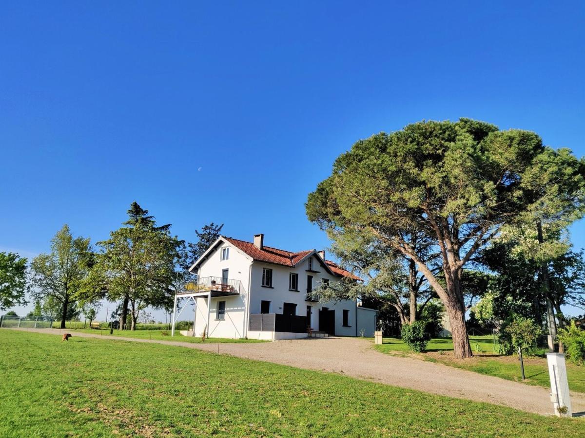 Le Cottage Nature Primeur Sauna Gaillac Entre Albi-Toulouse & Les Cottages Du Tarn Brens  Dış mekan fotoğraf